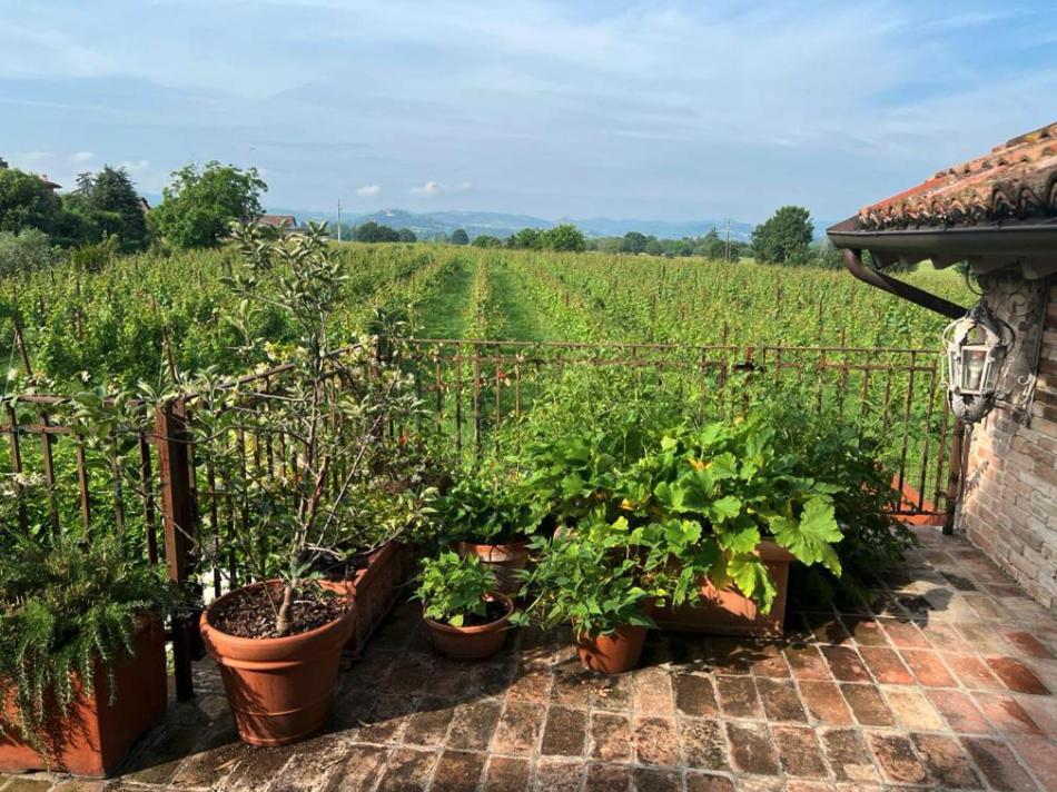 Casale Hortensia Reggio Emilia Exterior foto